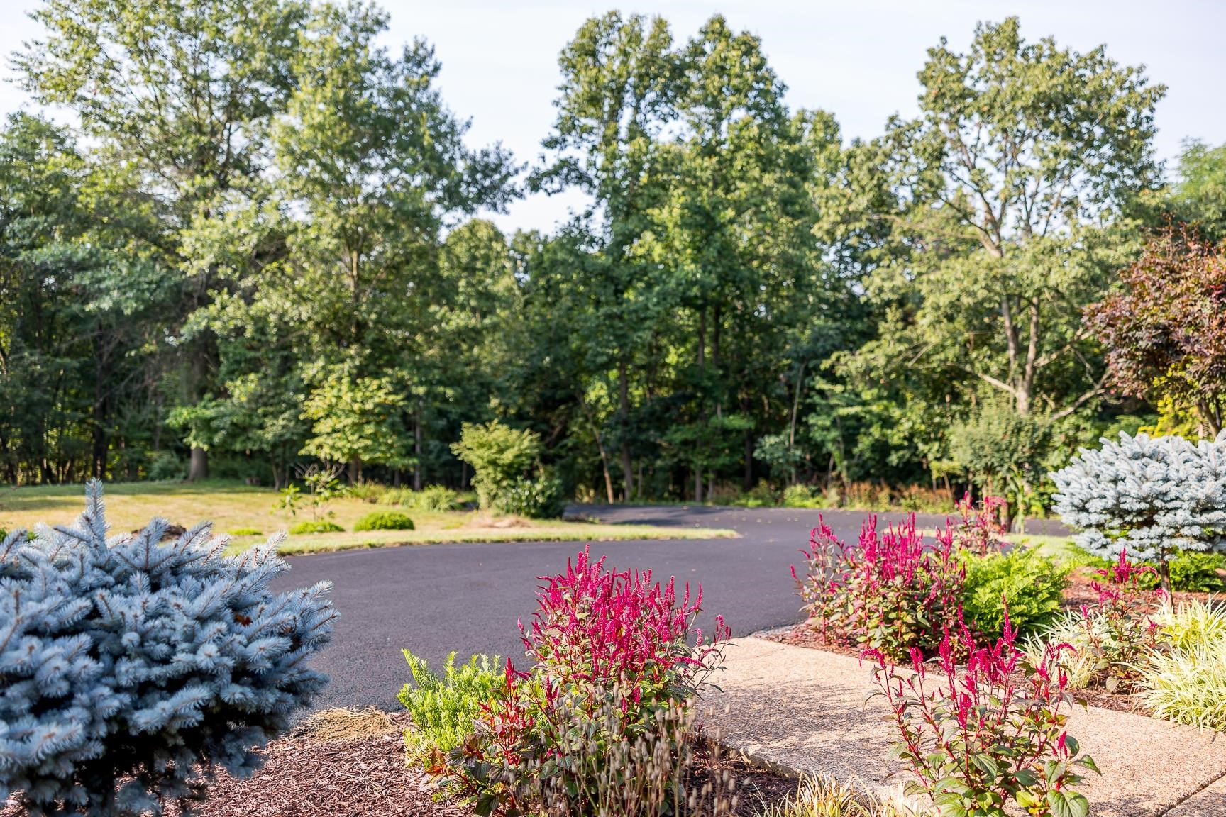 1003 Natural Chimney Road Mount Solon, VA 22843 - Photo 6 of 73