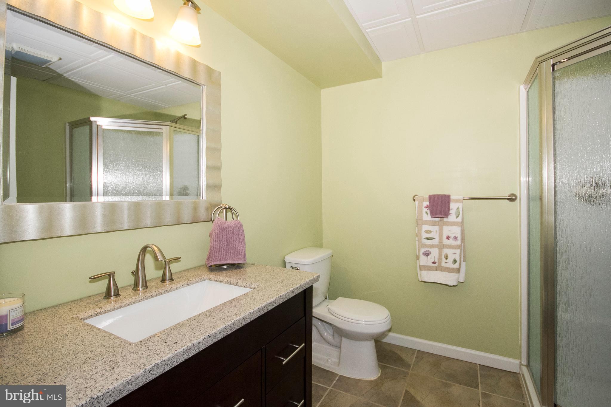 3666 Emory Church Road Street, MD 21154 - Photo 15 of 30 Full Bath on Lower Level