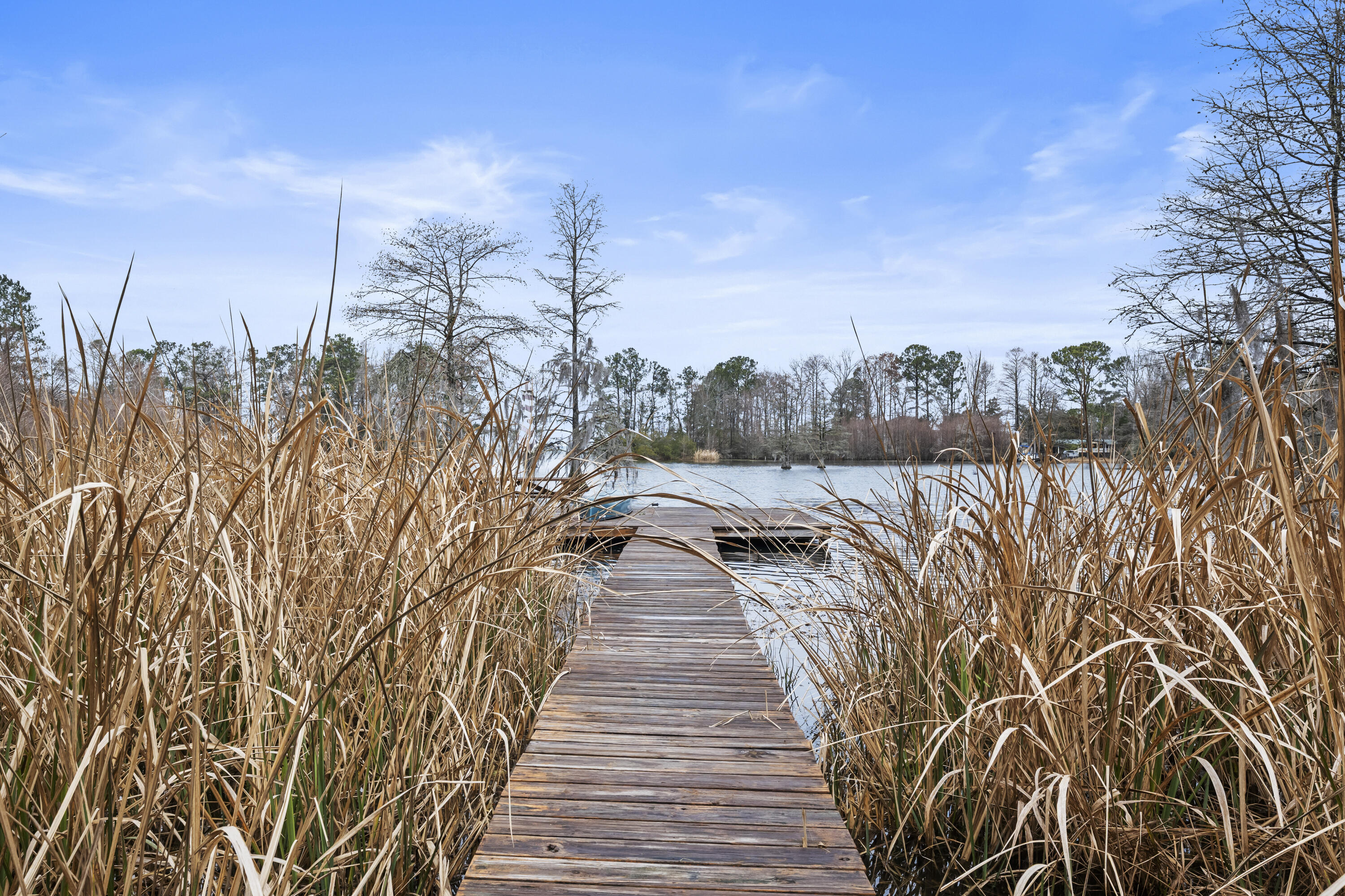 107 Jack's Lane Bonneau, SC 29431 - Photo 14 of 22