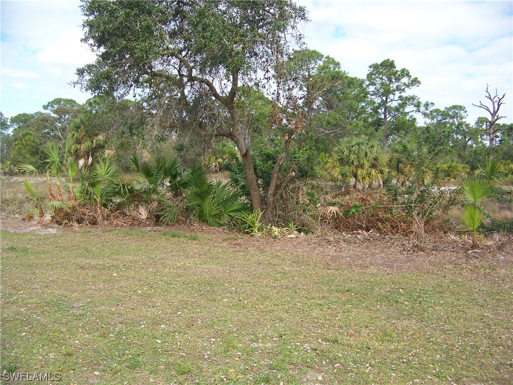 15550 Burnt Store Road, Unit 51 Punta Gorda, FL 33955 - Photo 6 of 50 a view of a yard with a tree
