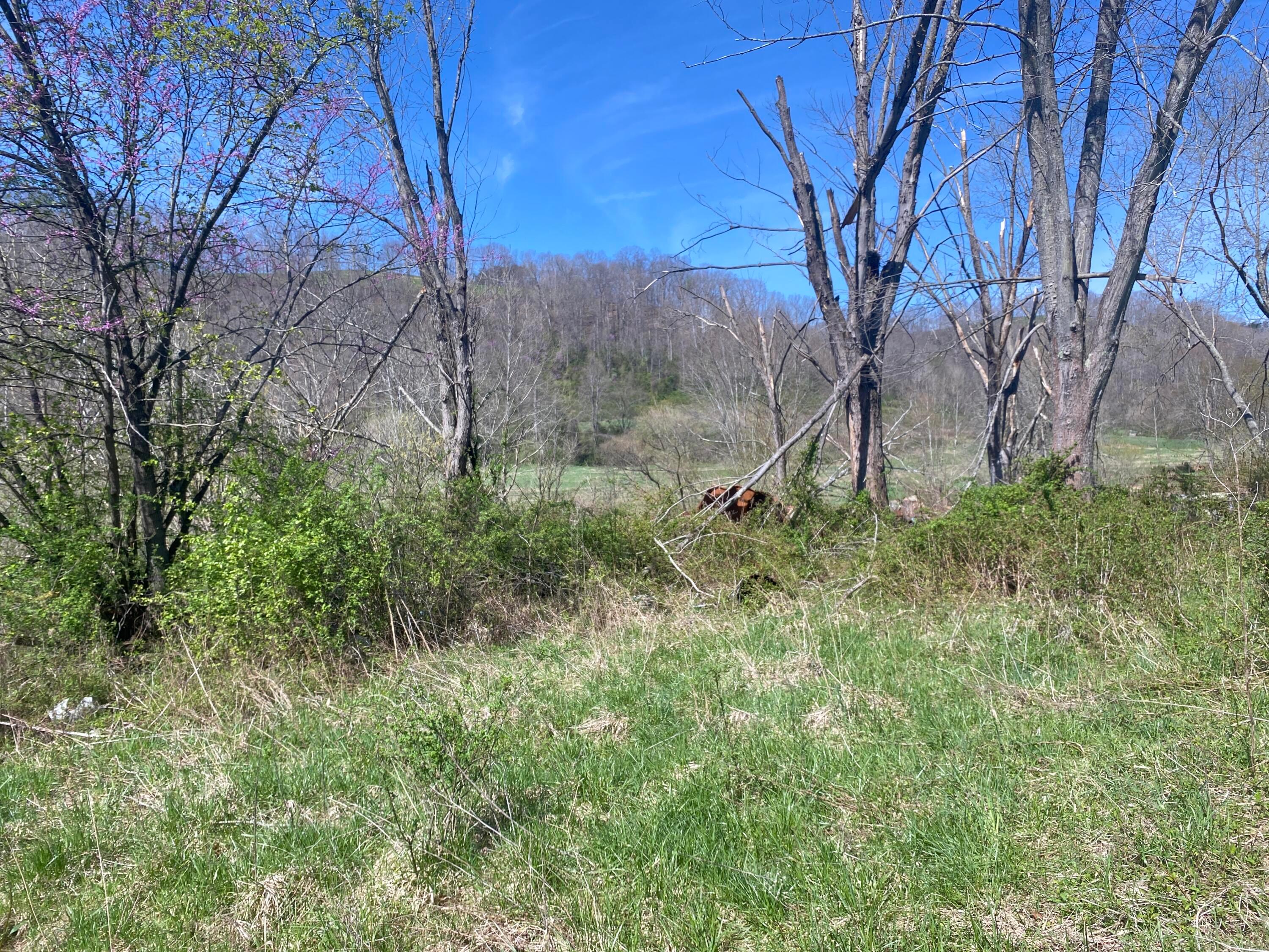 0 West Side Tr Reedsville, OH 45772 - Photo 9 of 19 Top of hill by homesite.