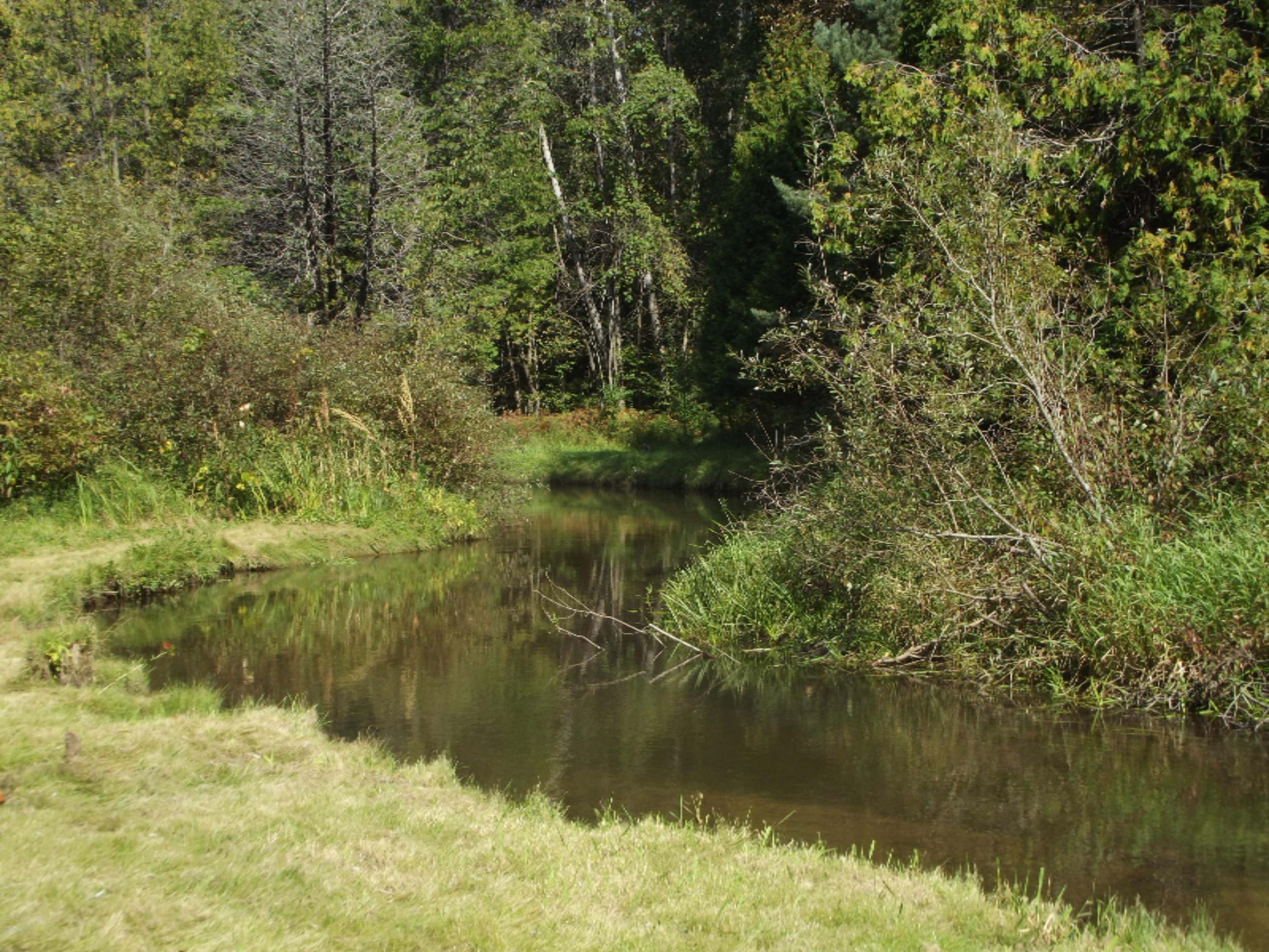3800 East Baker Road Hesperia, MI 49421 - Photo 10 of 40 DSCF1054