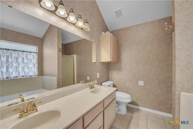 a bathroom with a sink a toilet and mirror