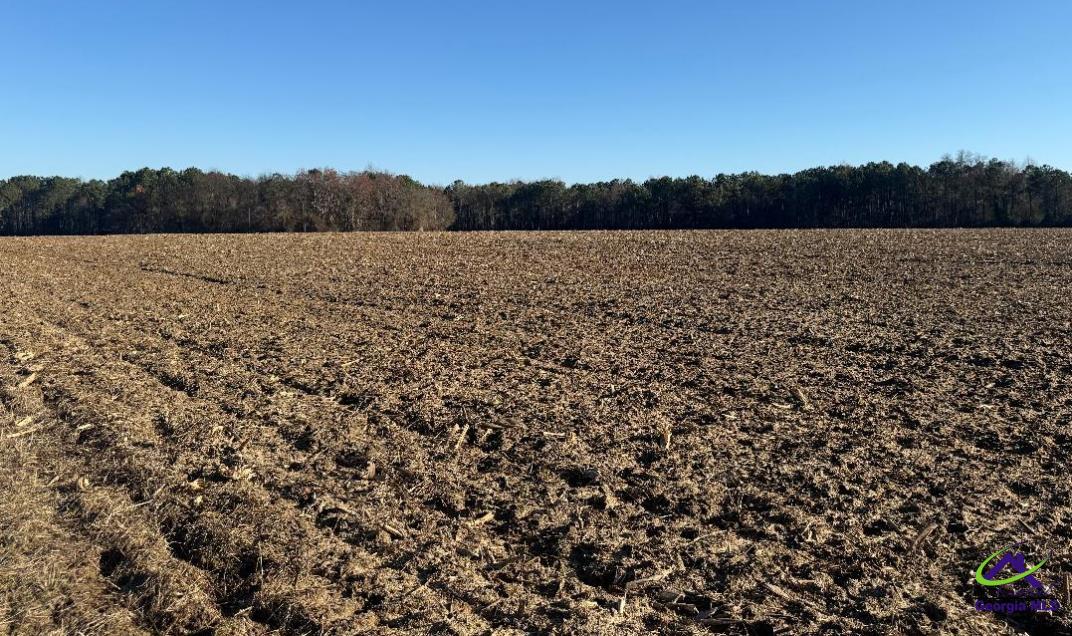 0 Whitfield Road Elko, GA 31025 - Photo 2 of 5
