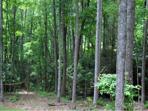 2 Sugarland Ridge Trail Fairview, NC 28730 - Photo 1 of 1 Gallery Image 1