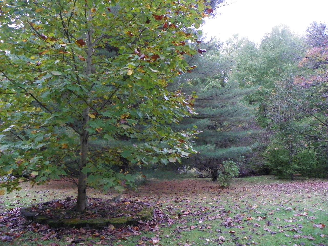 25120 Chapel Road Laurel, IN 47024 - Photo 5 of 11 Gallery Image 5
