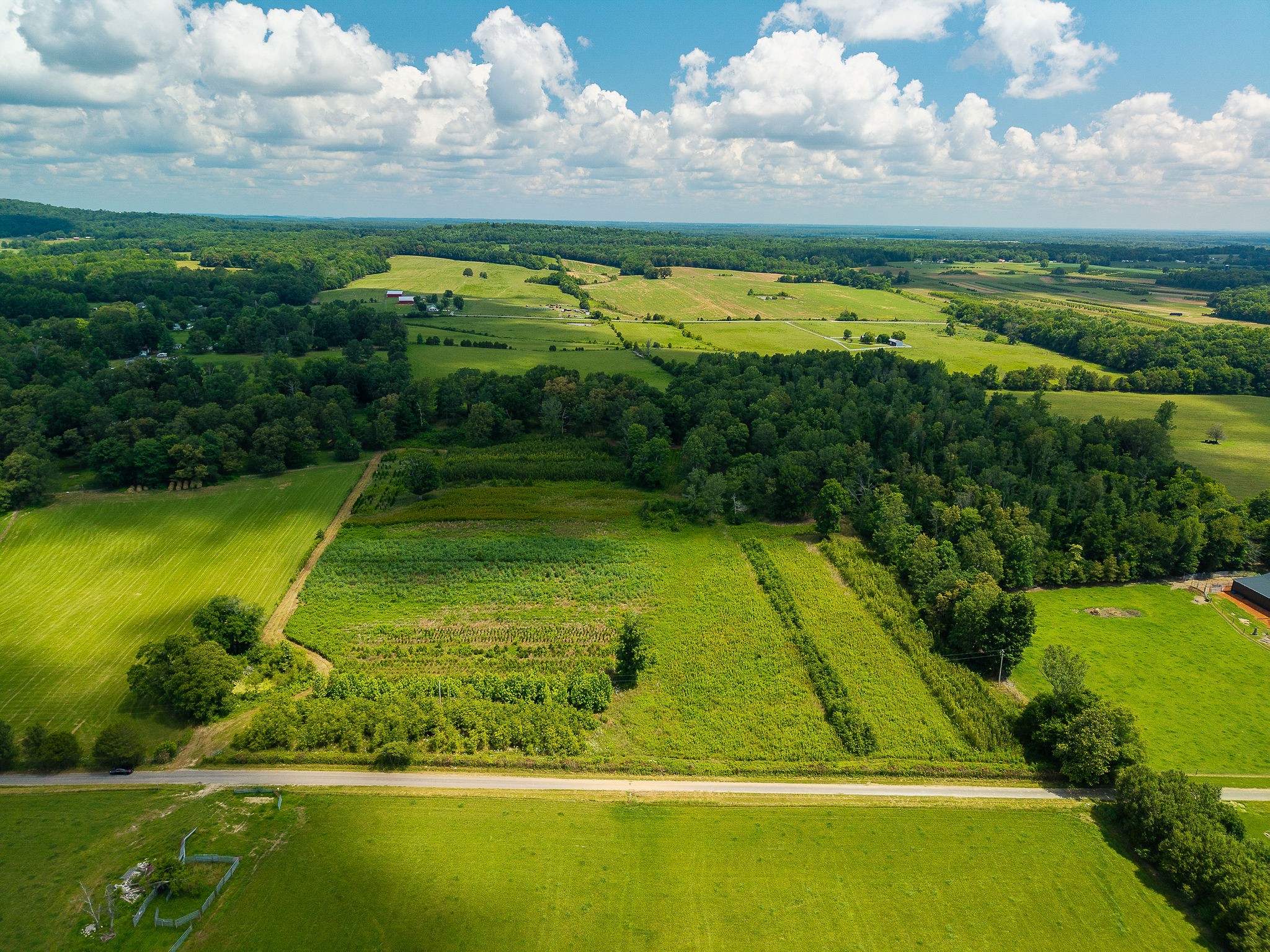 0 Sneed Road McMinnville, TN 37110 - Photo 11 of 16