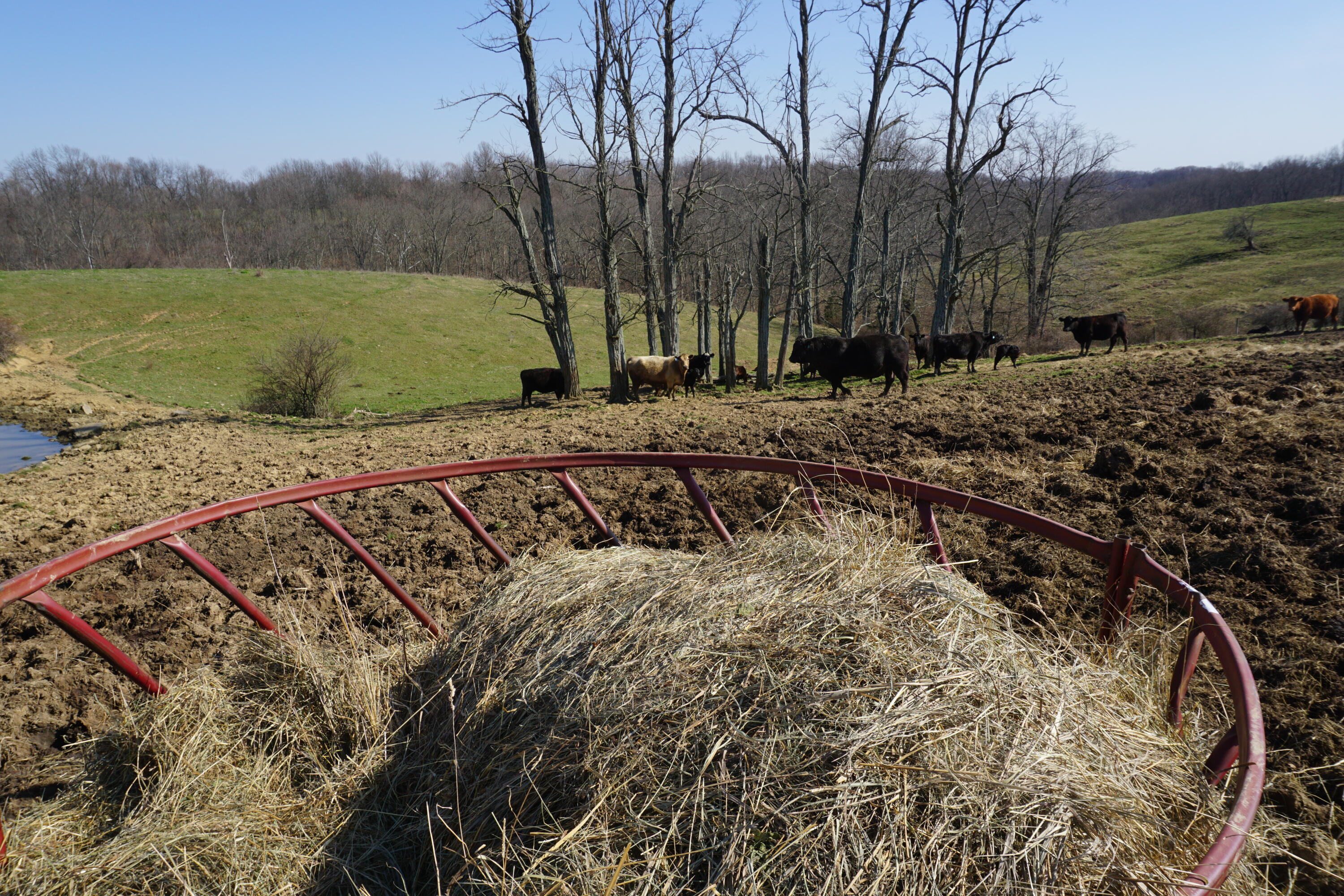 420 Sugar Creek Road Dry Ridge, KY 41035 - Photo 34 of 41