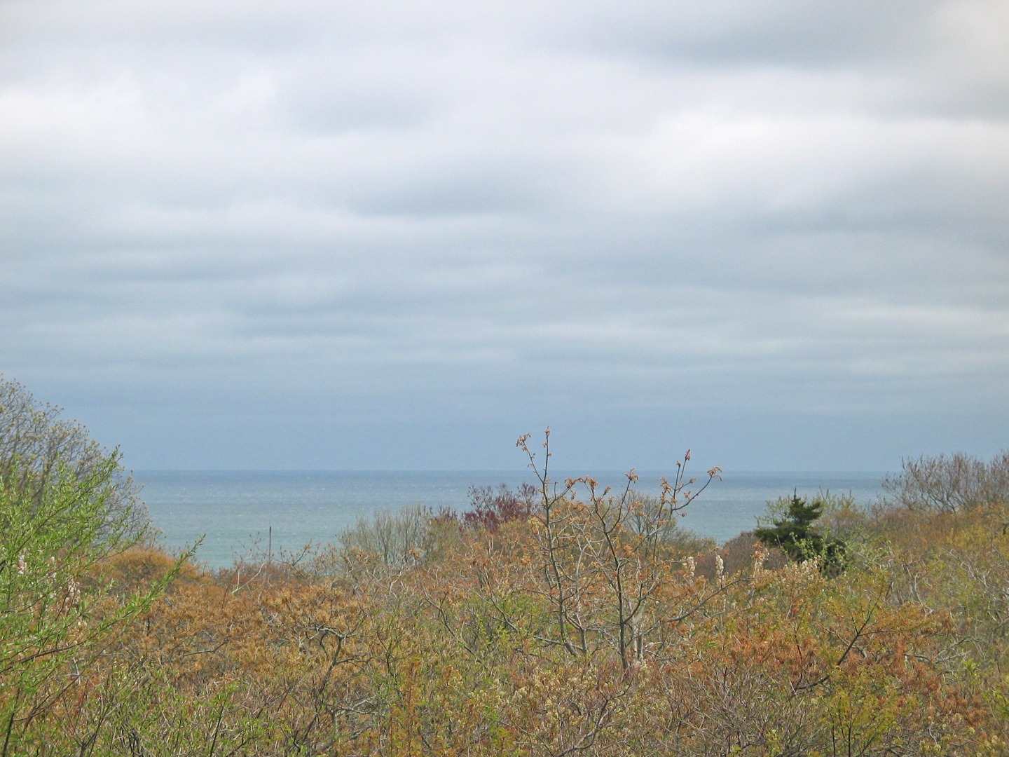 8 Drive Way Chilmark, MA 02535 - Photo 2 of 6 http://d1qzqeyxiitrap.cloudfront.net/photos/38298/4c6c918c.jpg