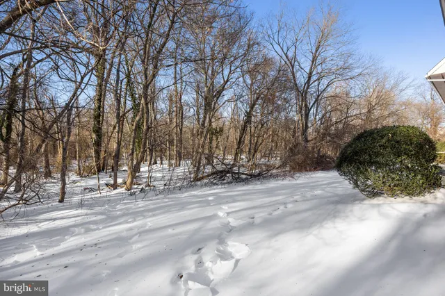 a view of road with trees
