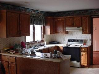 7048 Wells Road Petersburg, MI 49270 - Photo 2 of 5 714761-1.JPG