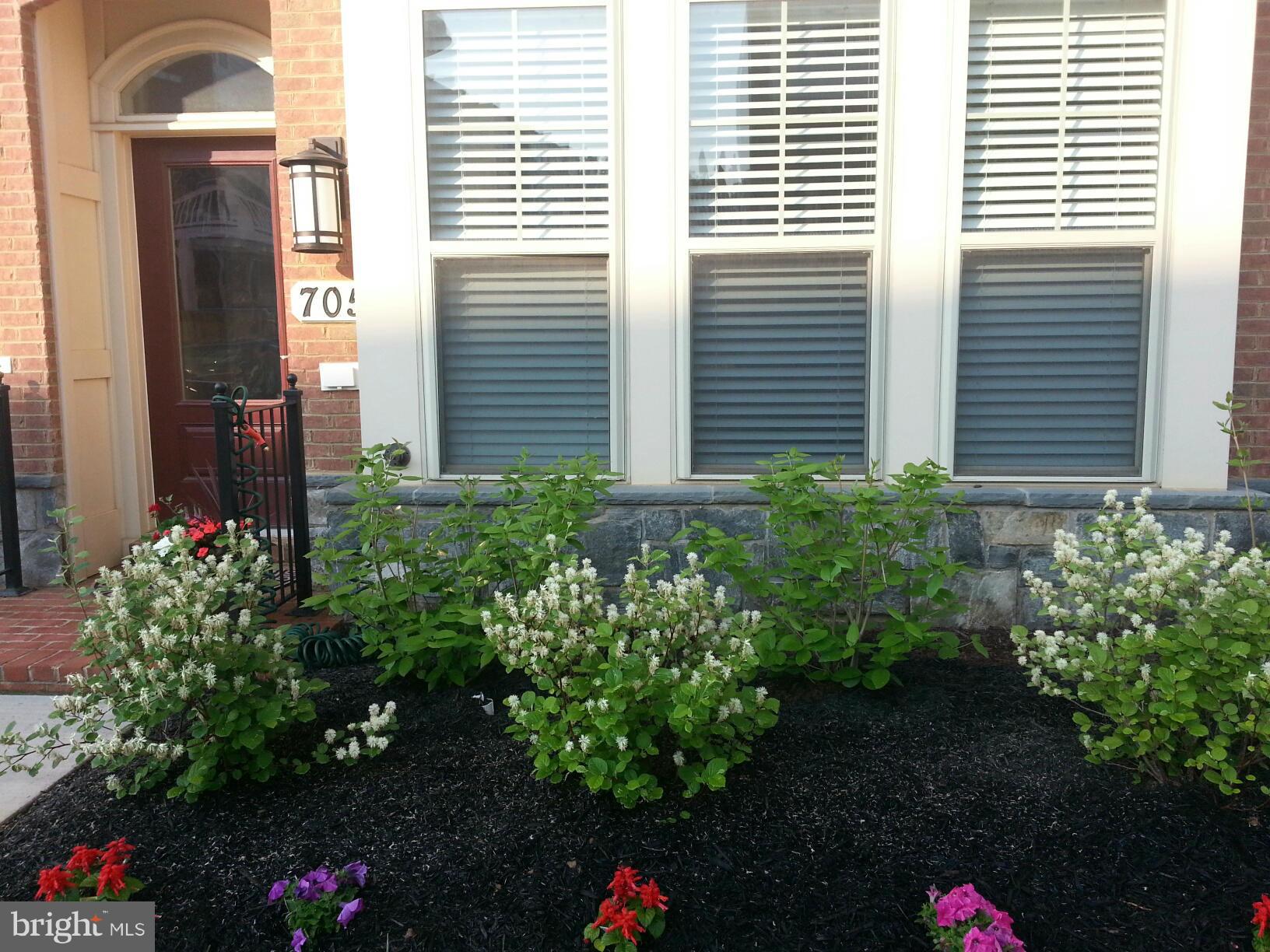 705 Hendrix Avenue Gaithersburg, MD 20878 - Photo 30 of 30 Front yard