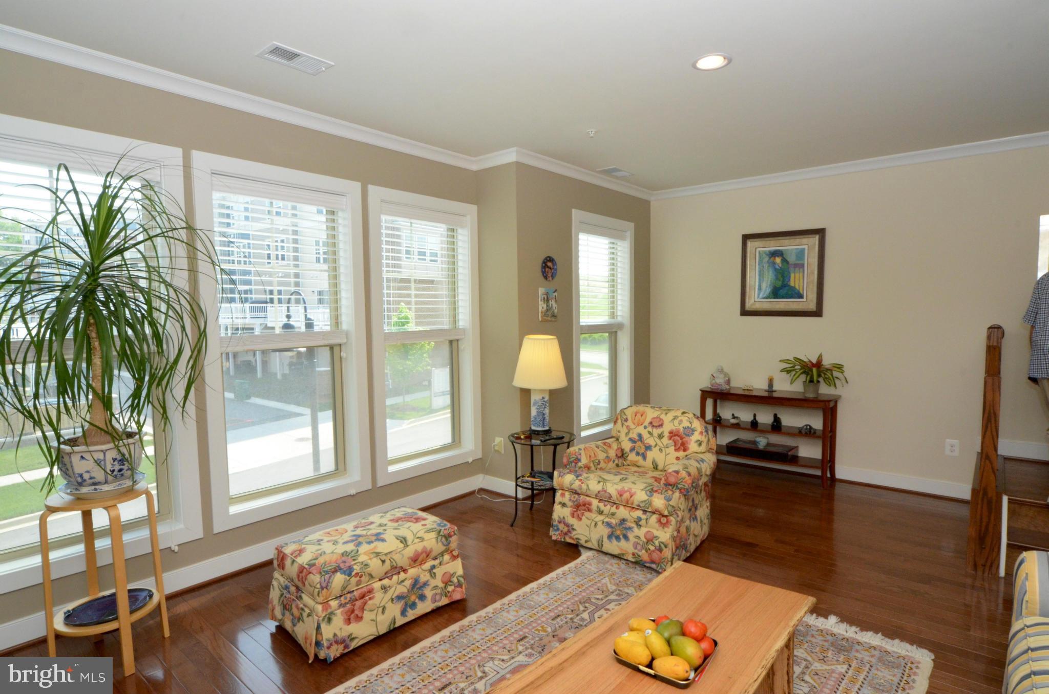 705 Hendrix Avenue Gaithersburg, MD 20878 - Photo 6 of 30 Living Room