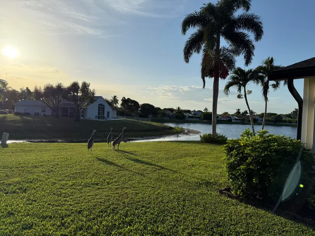 a view of a lake with a yard