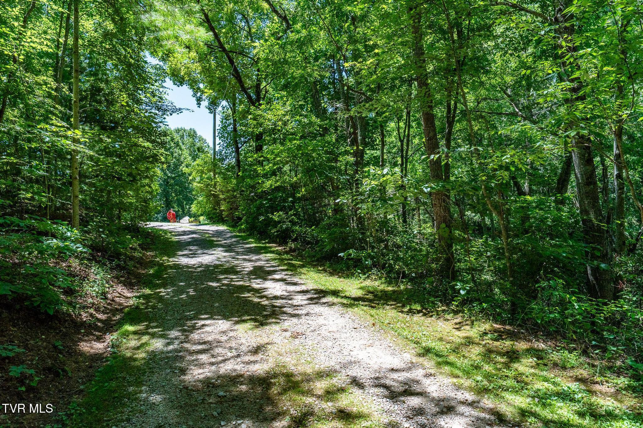1426 Poga Road Butler, TN 37640 - Photo 103 of 128 1426 Poga Road (84 of 152)