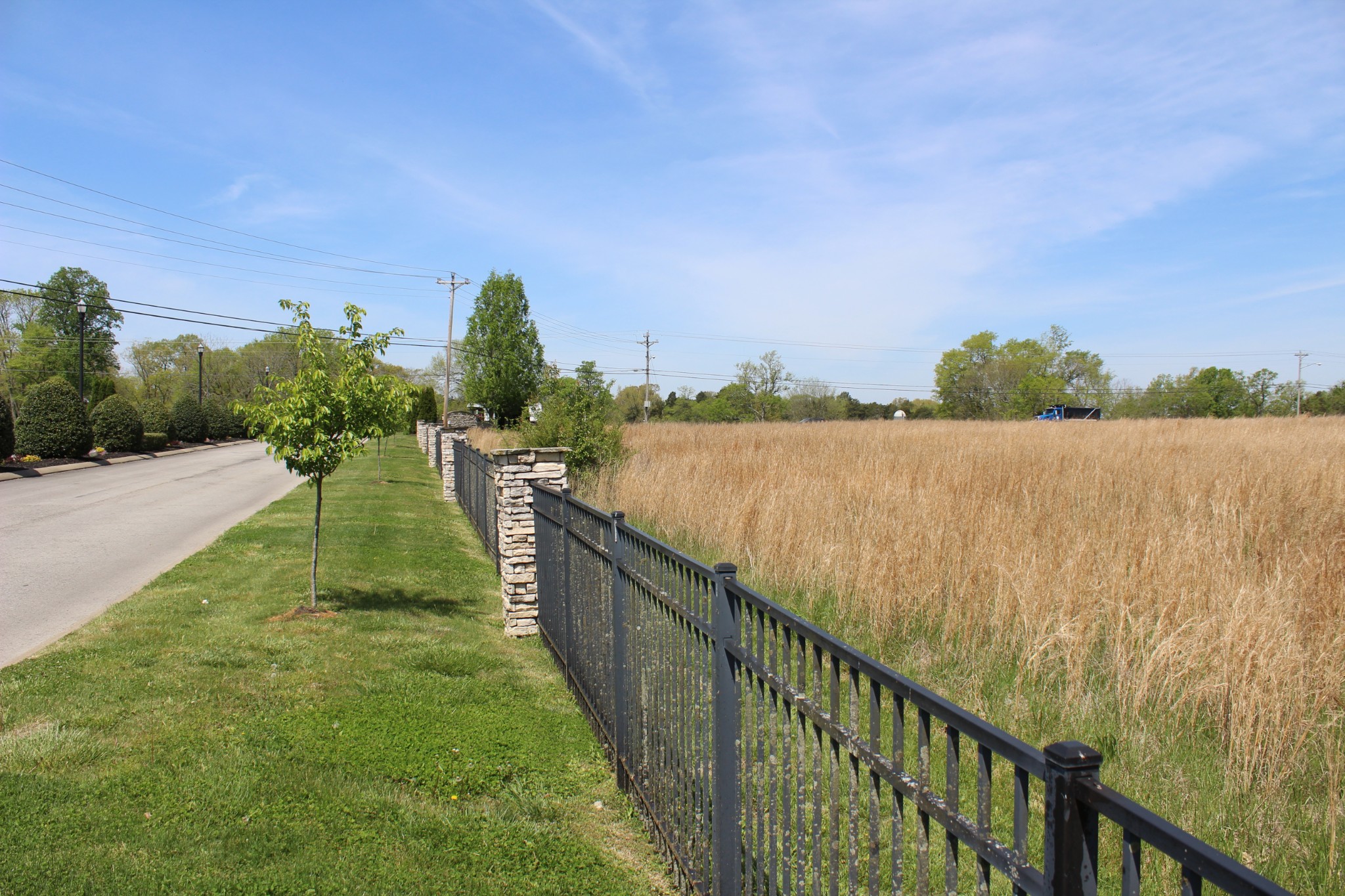 0 Port Royal Road Spring Hill, TN 37174 - Photo 2 of 7 a view of a garden