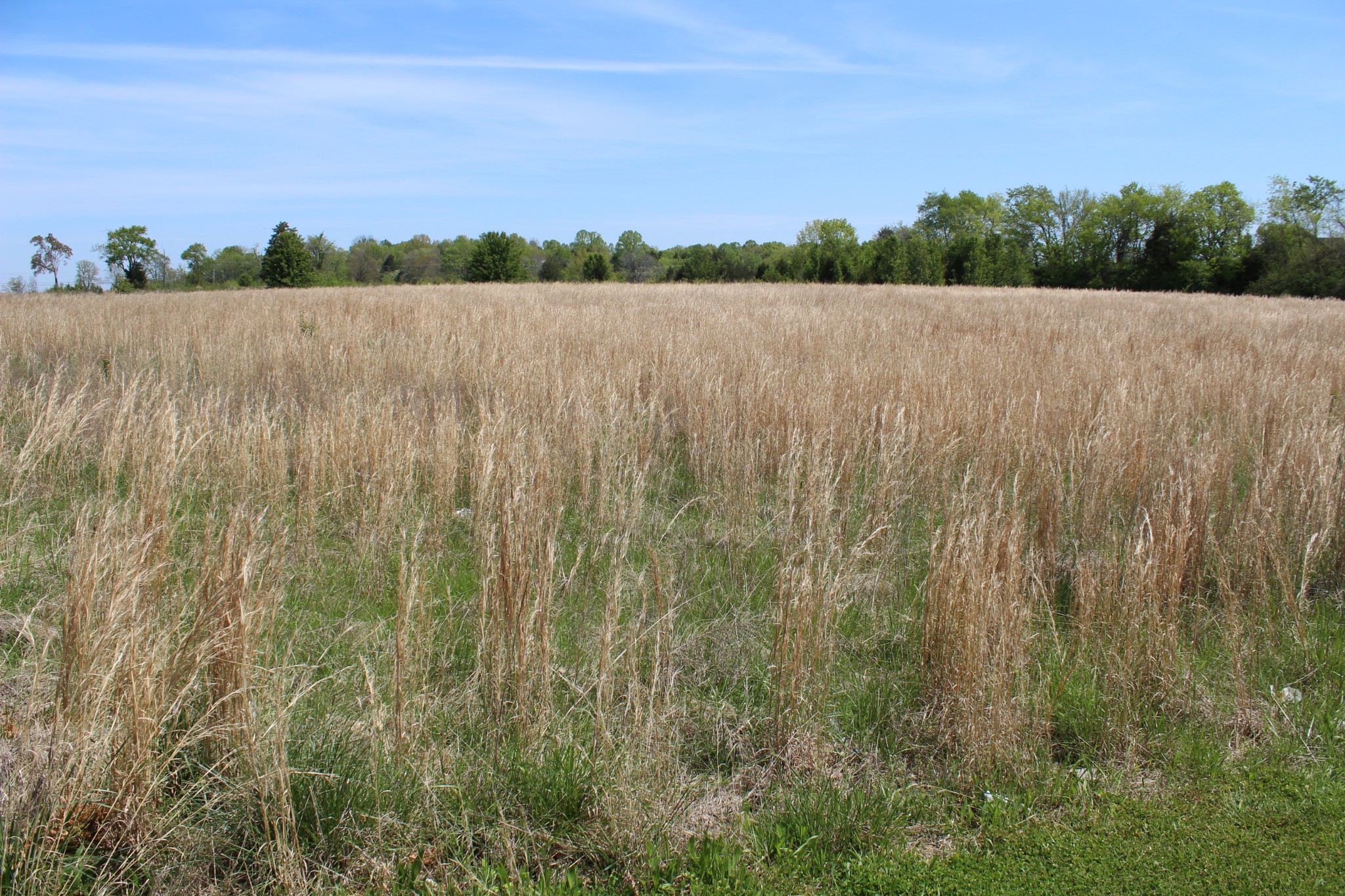 0 Port Royal Road Spring Hill, TN 37174 - Photo 5 of 7 a view of an outdoor space and a lake view