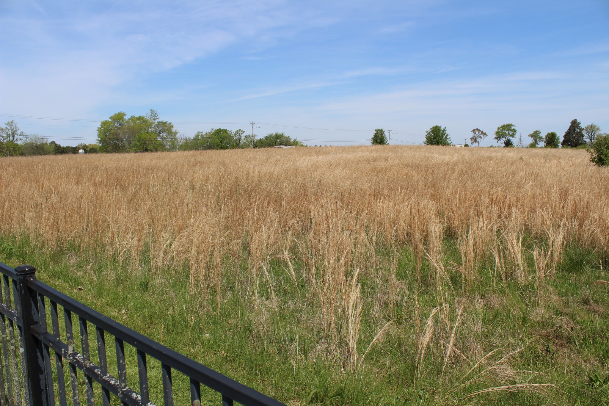 0 Port Royal Road Spring Hill, TN 37174 - Photo 6 of 7 a view of a lake with a mountain in the background
