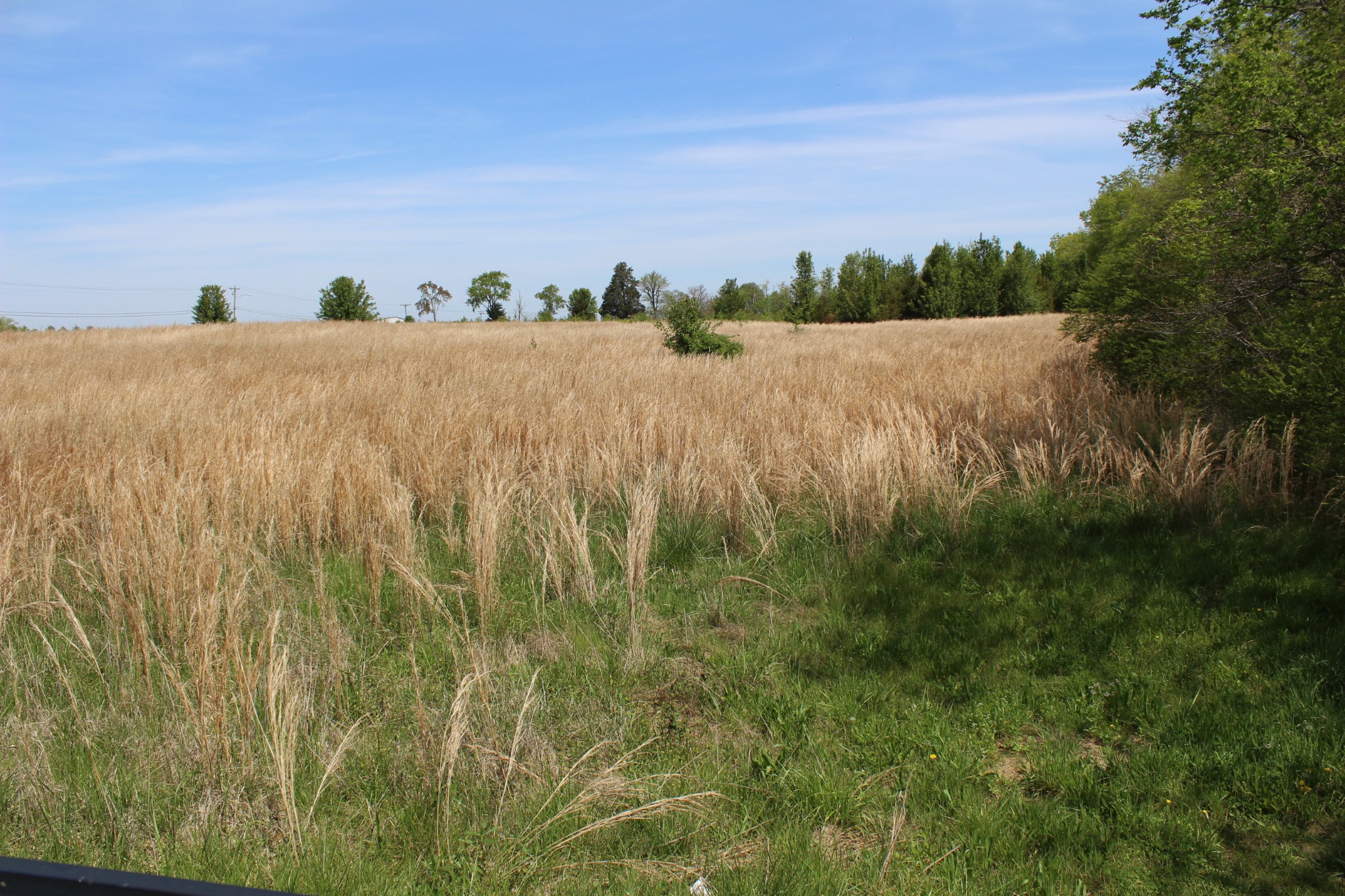 0 Port Royal Road Spring Hill, TN 37174 - Photo 7 of 7 a view of mountain with sunset view