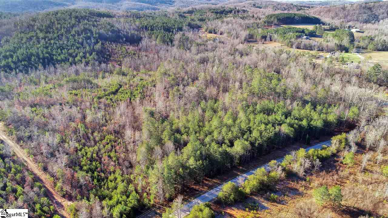0 Ambler School Road Marietta, SC 29661 - Photo 9 of 16 Gallery Image 9