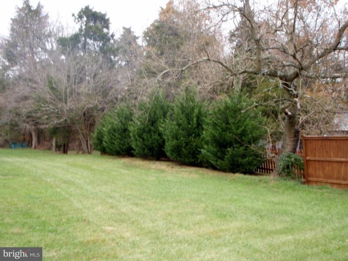 43594 Hay Road Ashburn, VA 20147 - Photo 9 of 16 a view of a backyard with a garden