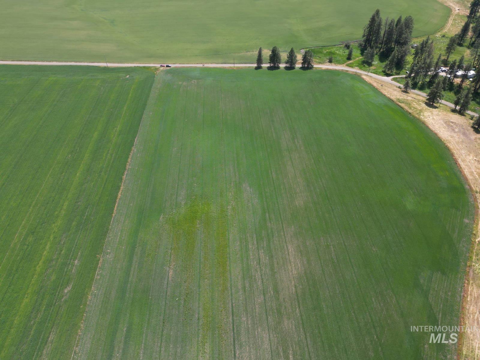 Lot 2 Herrick Road Craigmont, ID 83523 - Photo 6 of 7