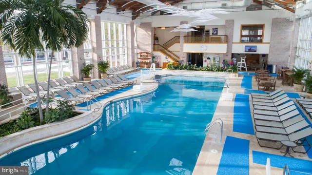 a view of a swimming pool with outdoor seating and plants