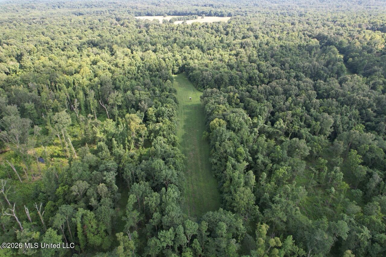 Woodlawn Road Woodville, MS 39669 - Photo 4 of 47 DJI_0255 Large