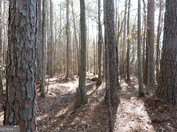 $300,000 | 0 Highway 119 North, Ellabell, GA 31308