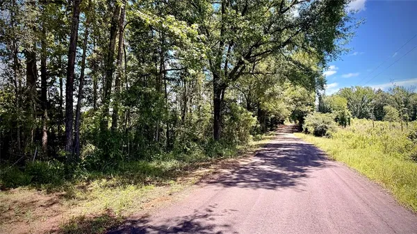 a view of a yard with plants and trees