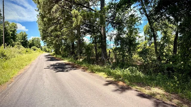 a view of a road with a yard