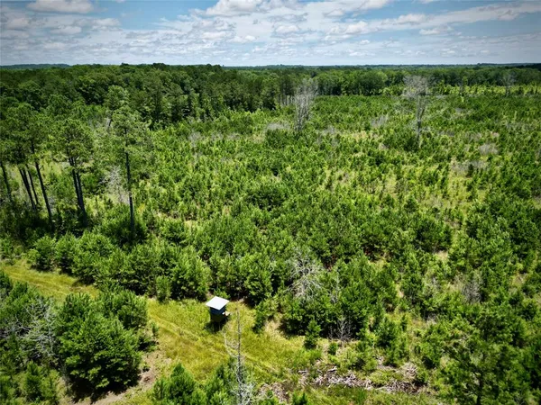 a view of a yard with plants