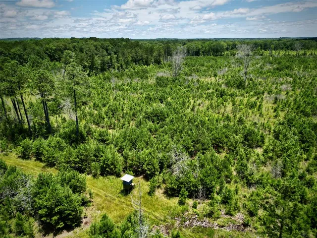 a view of a yard with plants
