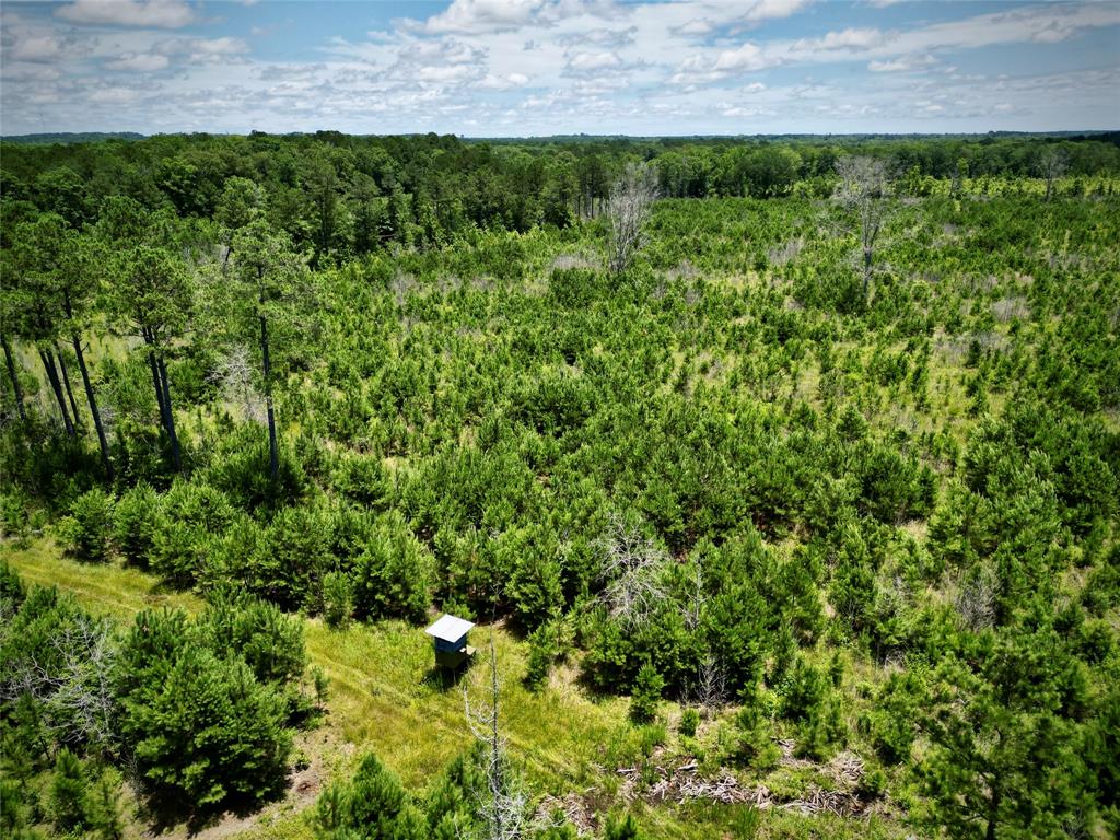 0 Cook Bernice, LA 71222 - Photo 13 of 30 Aerial view of a heavily wooded area