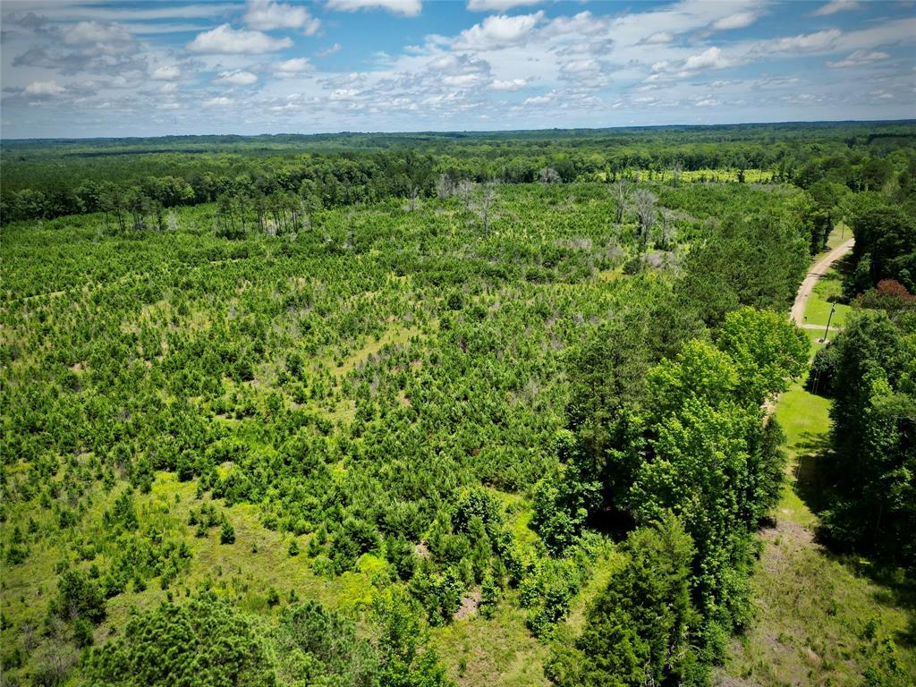 0 Cook Bernice, LA 71222 - Photo 15 of 30 Aerial view of a heavily wooded area