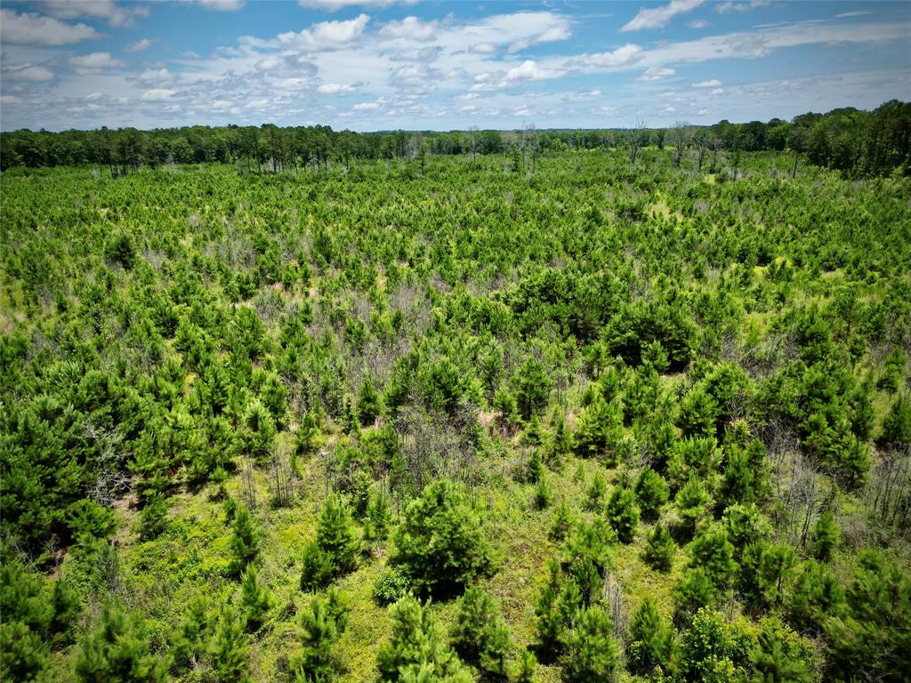 0 Cook Bernice, LA 71222 - Photo 16 of 30 Drone / aerial view of a heavily wooded area