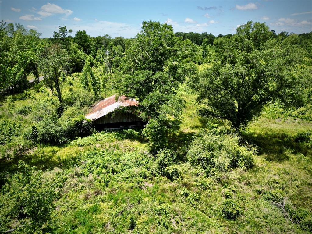 0 Cook Bernice, LA 71222 - Photo 18 of 30 View of subject property with a forest