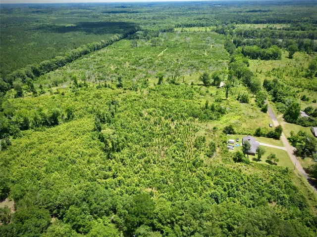 a view of a garden with a pathway