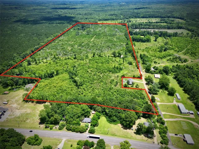 a view of a garden with plants