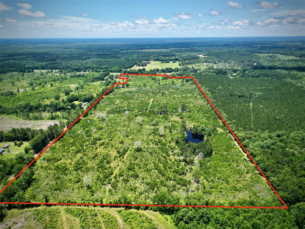 0 Cook Bernice, LA 71222 - Photo 2 of 30 View of property location with property parcel outlined and a heavily wooded area