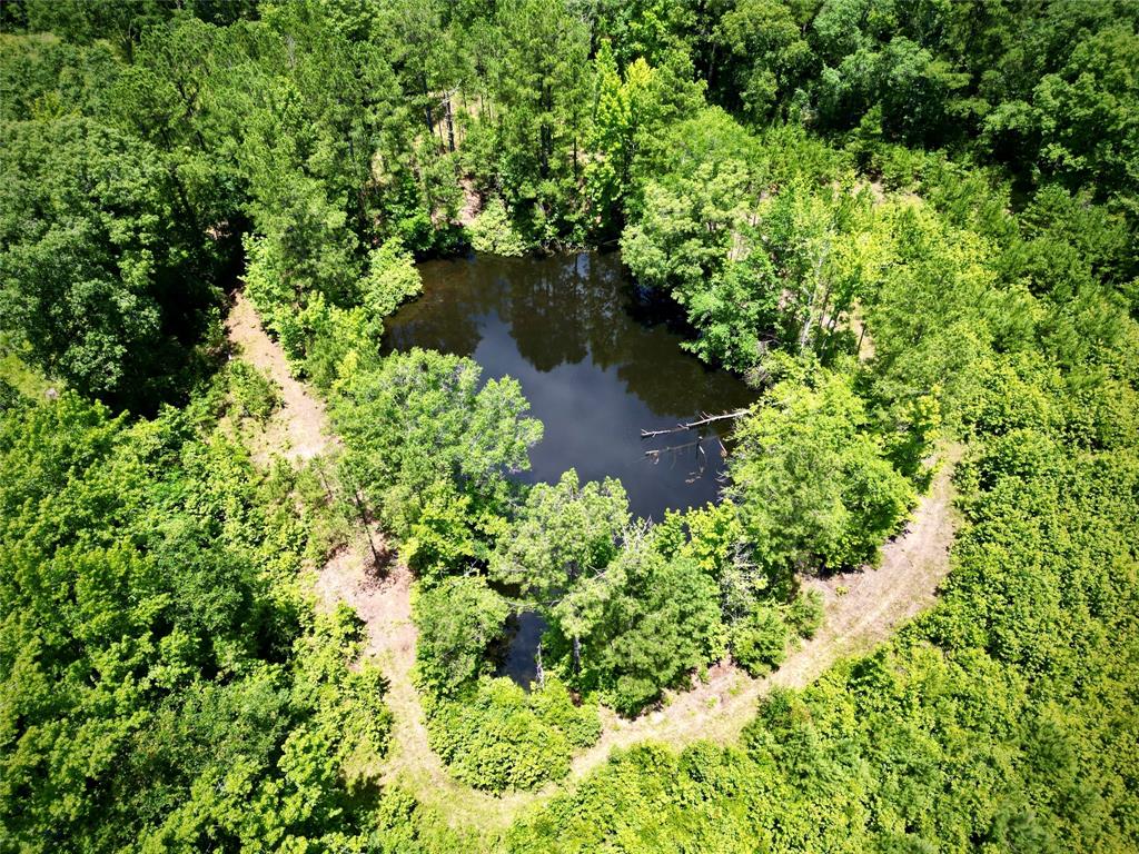 0 Cook Bernice, LA 71222 - Photo 21 of 30 Bird's eye view of a large body of water and a heavily wooded area