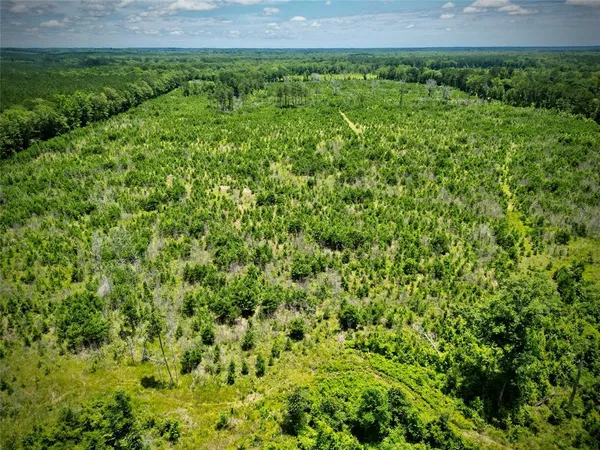 a view of a back yard of the house