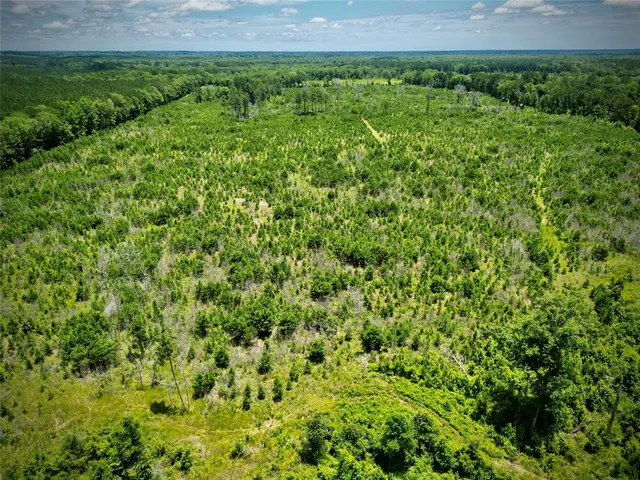 a view of a back yard of the house