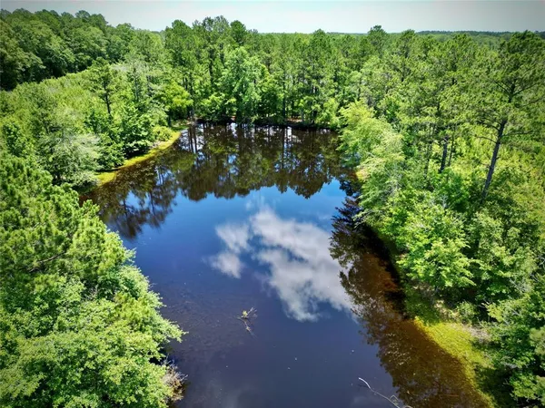 a view of a lake with a forest