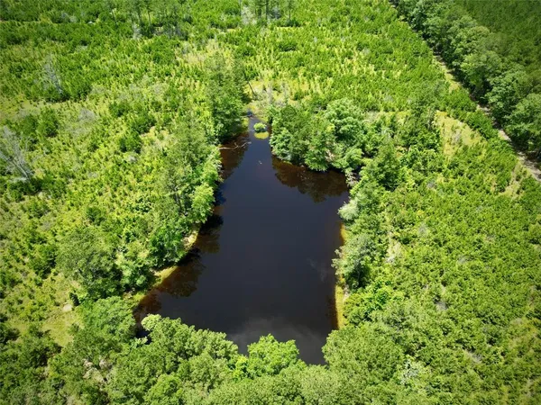 a view of a garden with plants