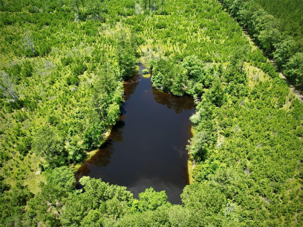 0 Cook Bernice, LA 71222 - Photo 4 of 30 Bird's eye view of a large body of water and a heavily wooded area
