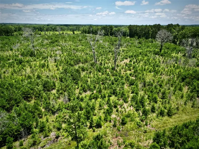 a view of a field of the plants and trees