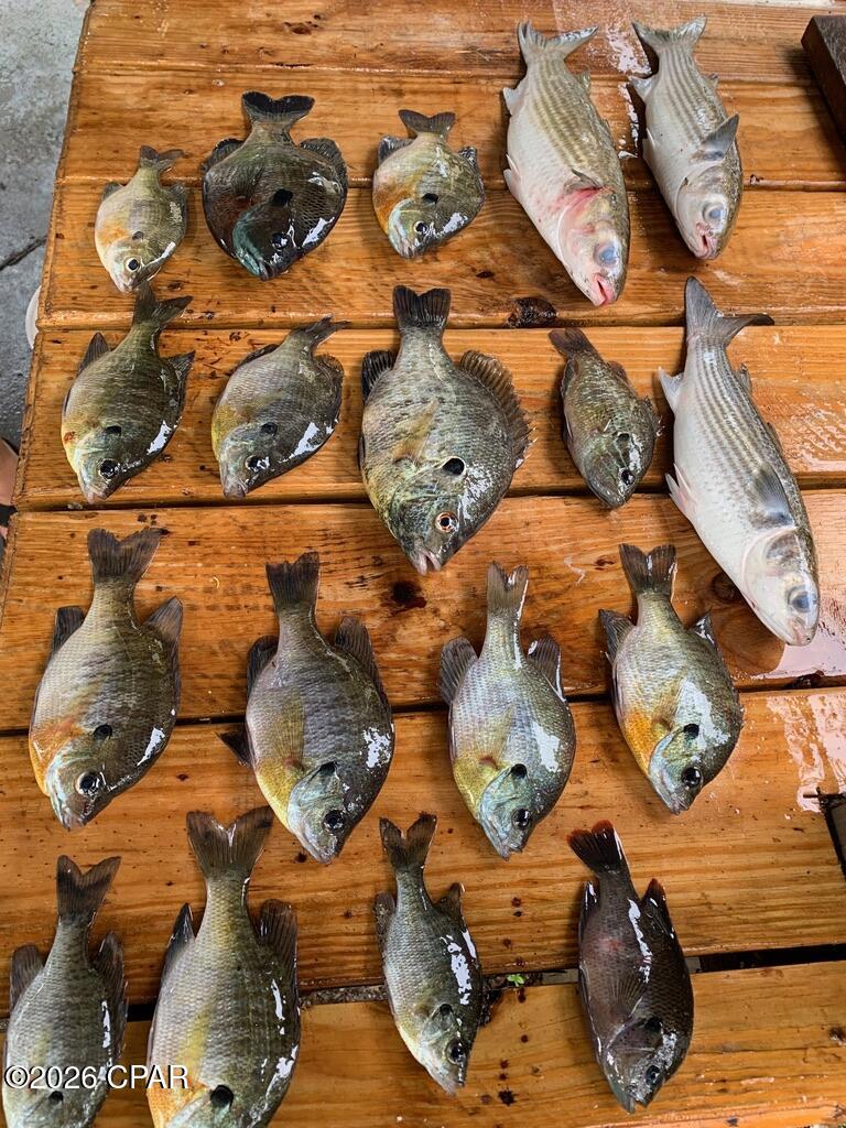 11554 Steel Field Road Vernon, FL 32462 - Photo 5 of 6