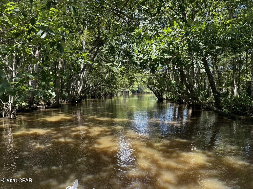 11554 Steel Field Road Vernon, FL 32462 - Photo 6 of 6