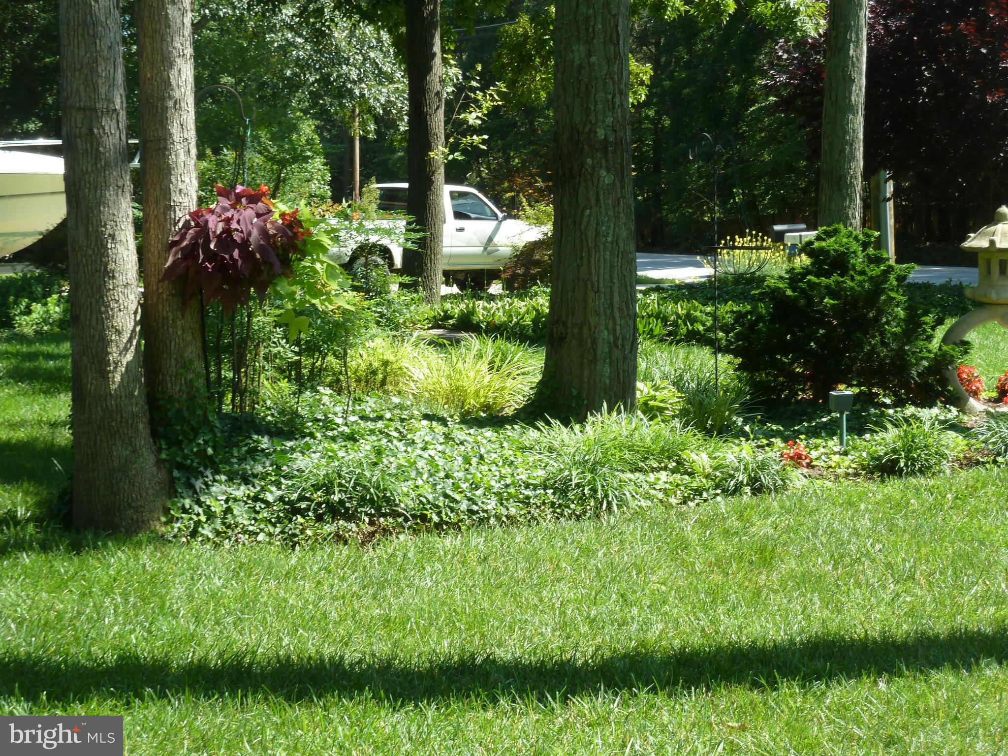 197 Hickory Point Road Pasadena, MD 21122 - Photo 25 of 26 Mature Trees/Landscaping